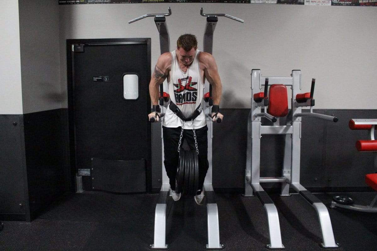 Weight Lifting Belt | Dip Belt | Chain Belt | Ring Belt